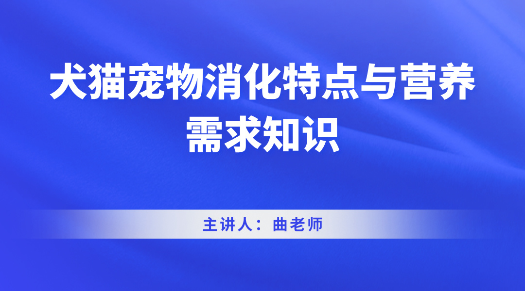 犬猫宠物消化特点与营养需求知识