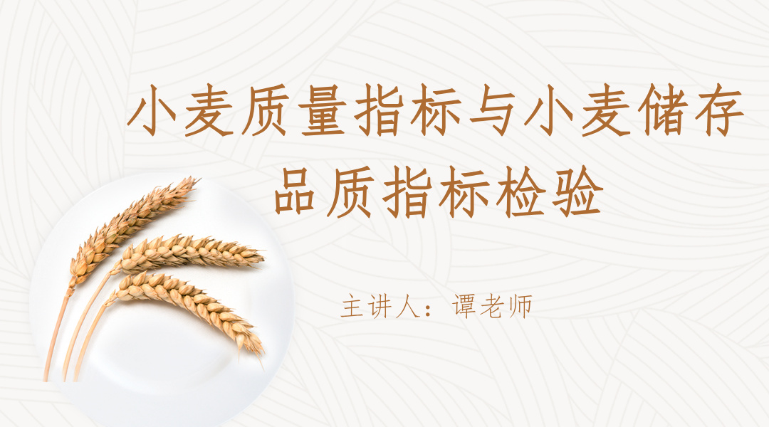 小麦质量指标与小麦储存品质指标检验